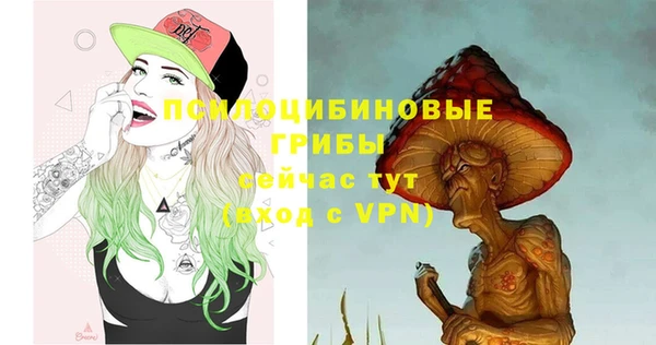 спайс Абаза