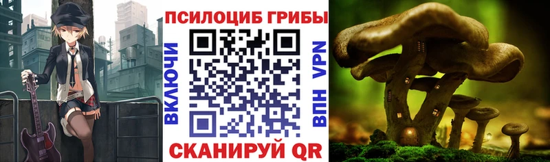 Галлюциногенные грибы мицелий Лангепас